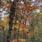Review photo of Platte River Campground — Sleeping Bear Dunes National Lakeshore by Kathie M., October 25, 2022