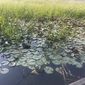 Review photo of Hawleys Landing Campground — Heyburn State Park by Kelly L., September 11, 2018