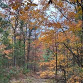 Review photo of Platte River Campground — Sleeping Bear Dunes National Lakeshore by Kathie M., October 25, 2022