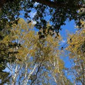 Review photo of Platte River Campground — Sleeping Bear Dunes National Lakeshore by Kathie M., October 25, 2022