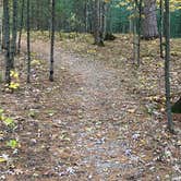 Review photo of Platte River Campground — Sleeping Bear Dunes National Lakeshore by Kathie M., October 25, 2022