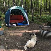 Review photo of Bewabic State Park Campground by Lesley R., October 25, 2022