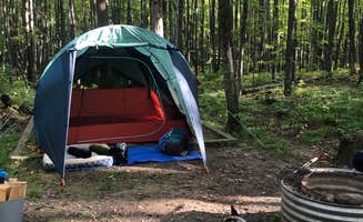 Lesley R.'s photo of camping with pets at Bewabic State Park Campground near Crystal Falls, MI