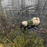 Review photo of Bewabic State Park Campground by Lesley R., October 25, 2022