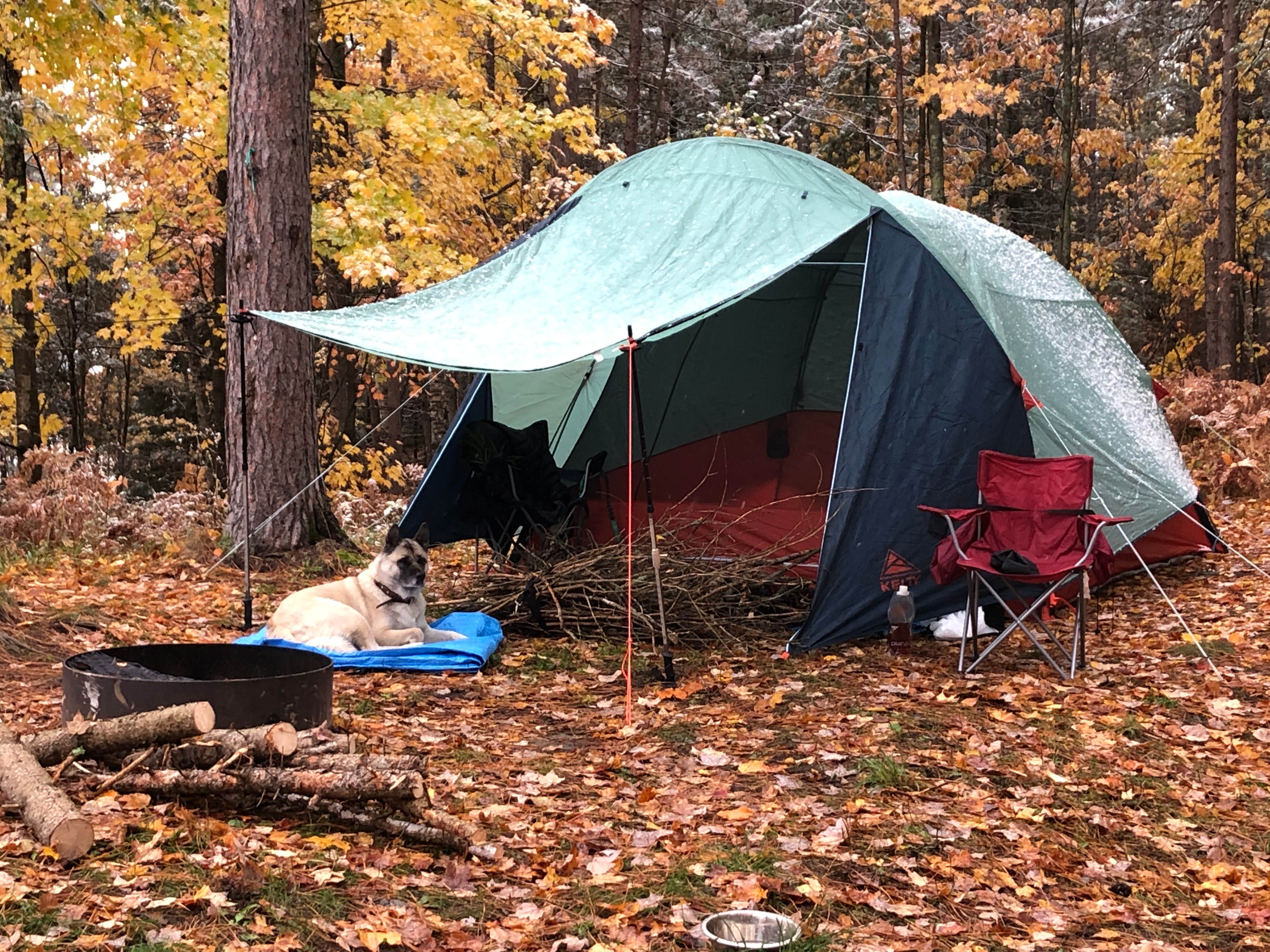Lesley R.'s photo at West Star Lake Campground — Northern Highland State Forest near Sayner, WI