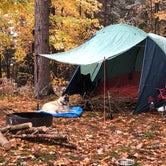 Review photo of West Star Lake Campground — Northern Highland State Forest by Lesley R., October 25, 2022