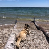 Review photo of North Nicolet Bay Campground — Peninsula State Park by Lesley R., October 25, 2022