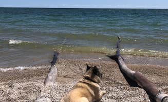 Lesley R.'s photo of camping with pets at North Nicolet Bay Campground — Peninsula State Park near Ephraim, WI