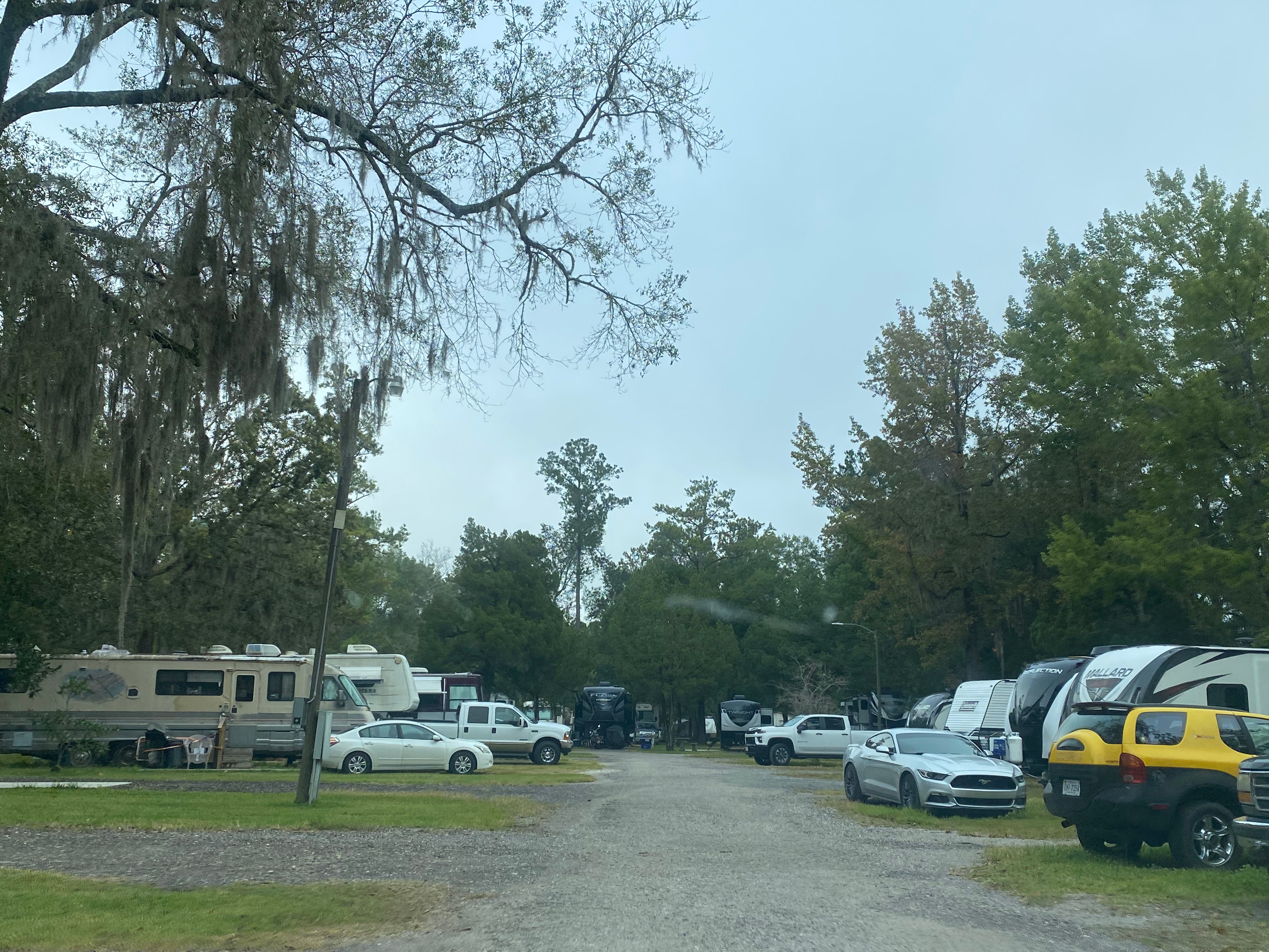 Camper submitted image from Big Tree RV Park - 3