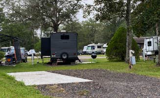 Stuart K.'s photo of rv camping at Big Tree RV Park near Callahan, FL
