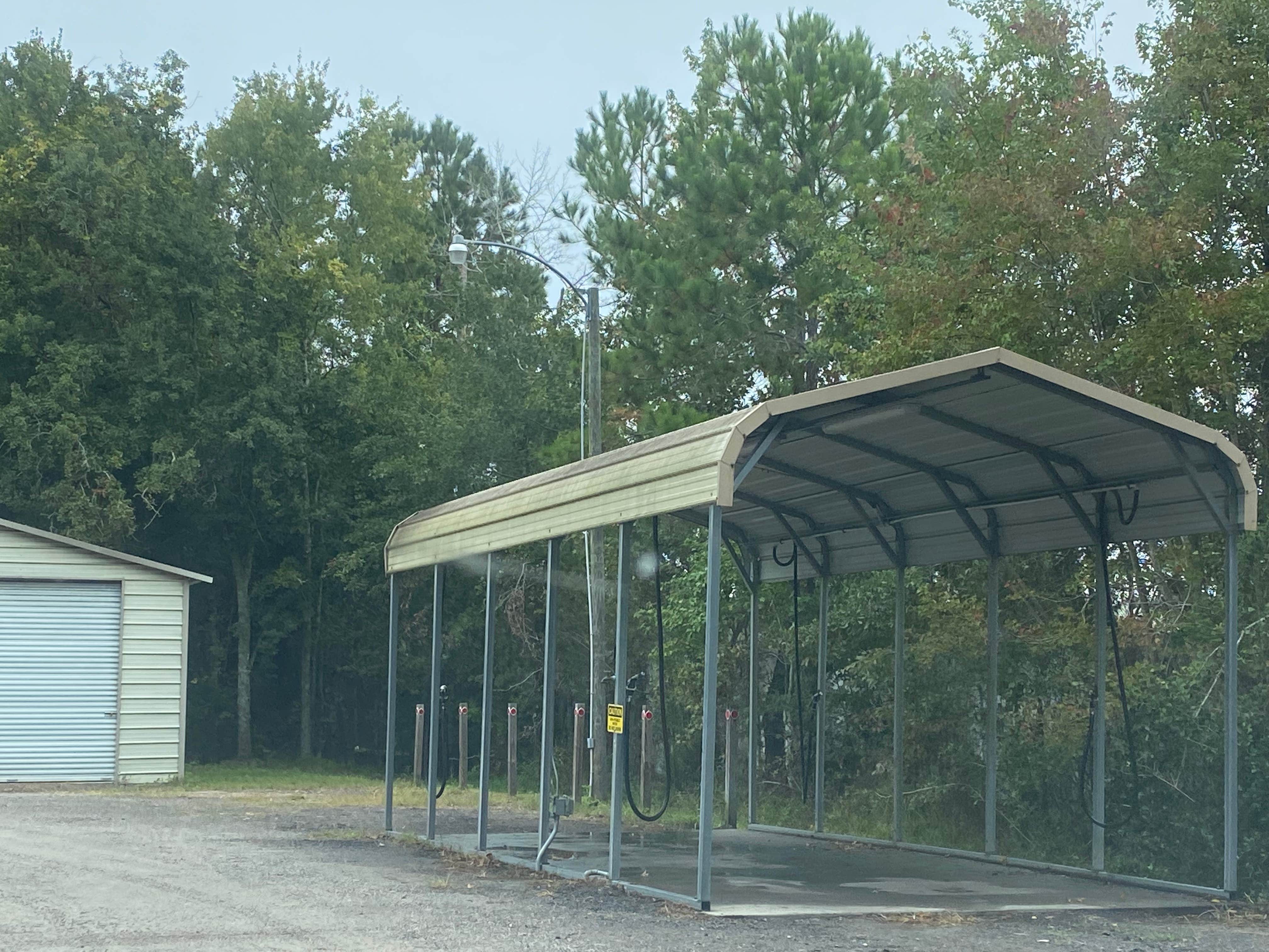 Camper-submitted photo at Big Tree RV Park near Jacksonville, FL