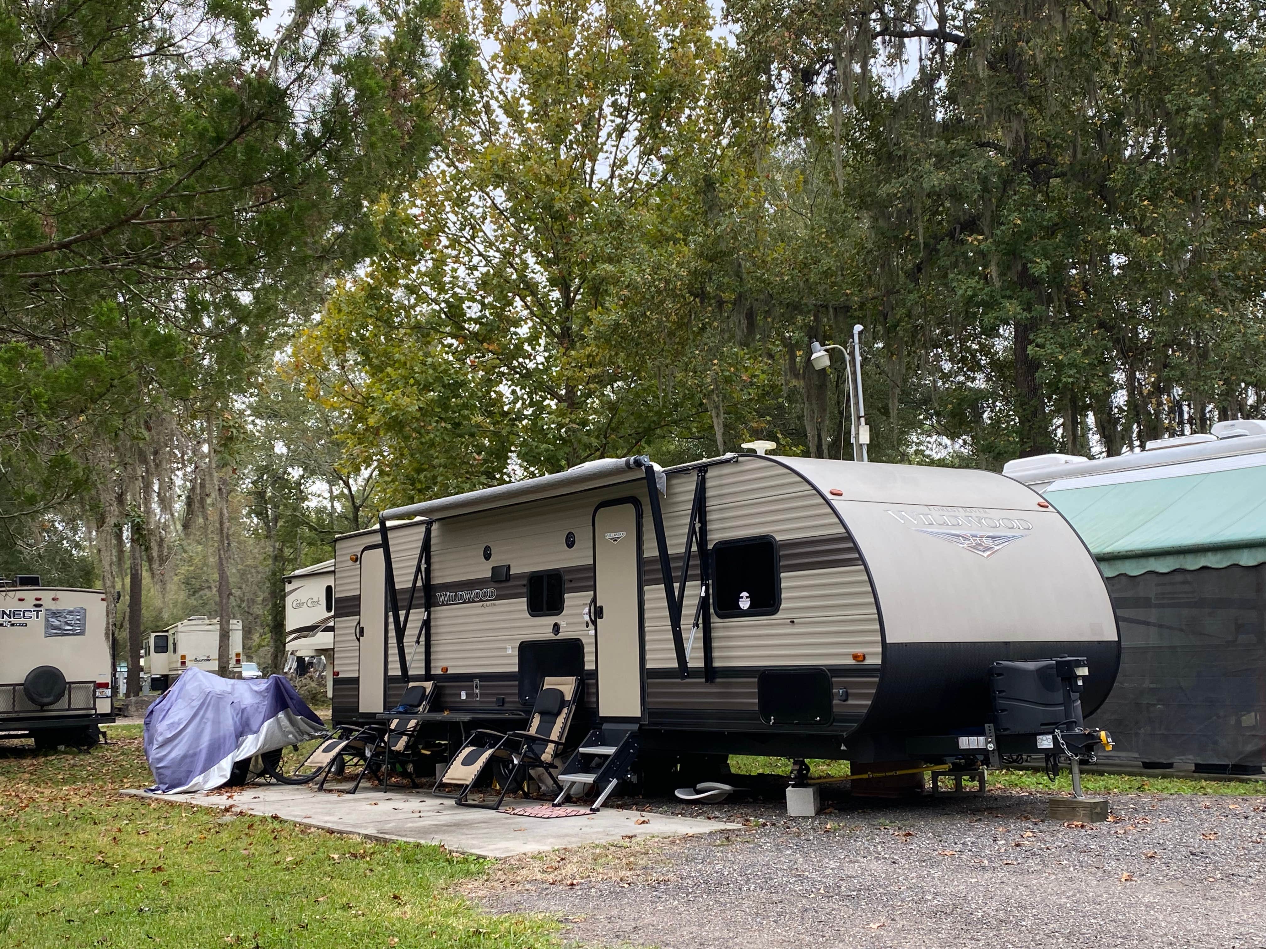 Camper-submitted photo at Big Tree RV Park near Ponte Vedra Beach, FL