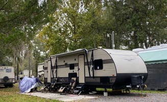 Stuart K.'s photo at Big Tree RV Park near Jacksonville Beach, FL