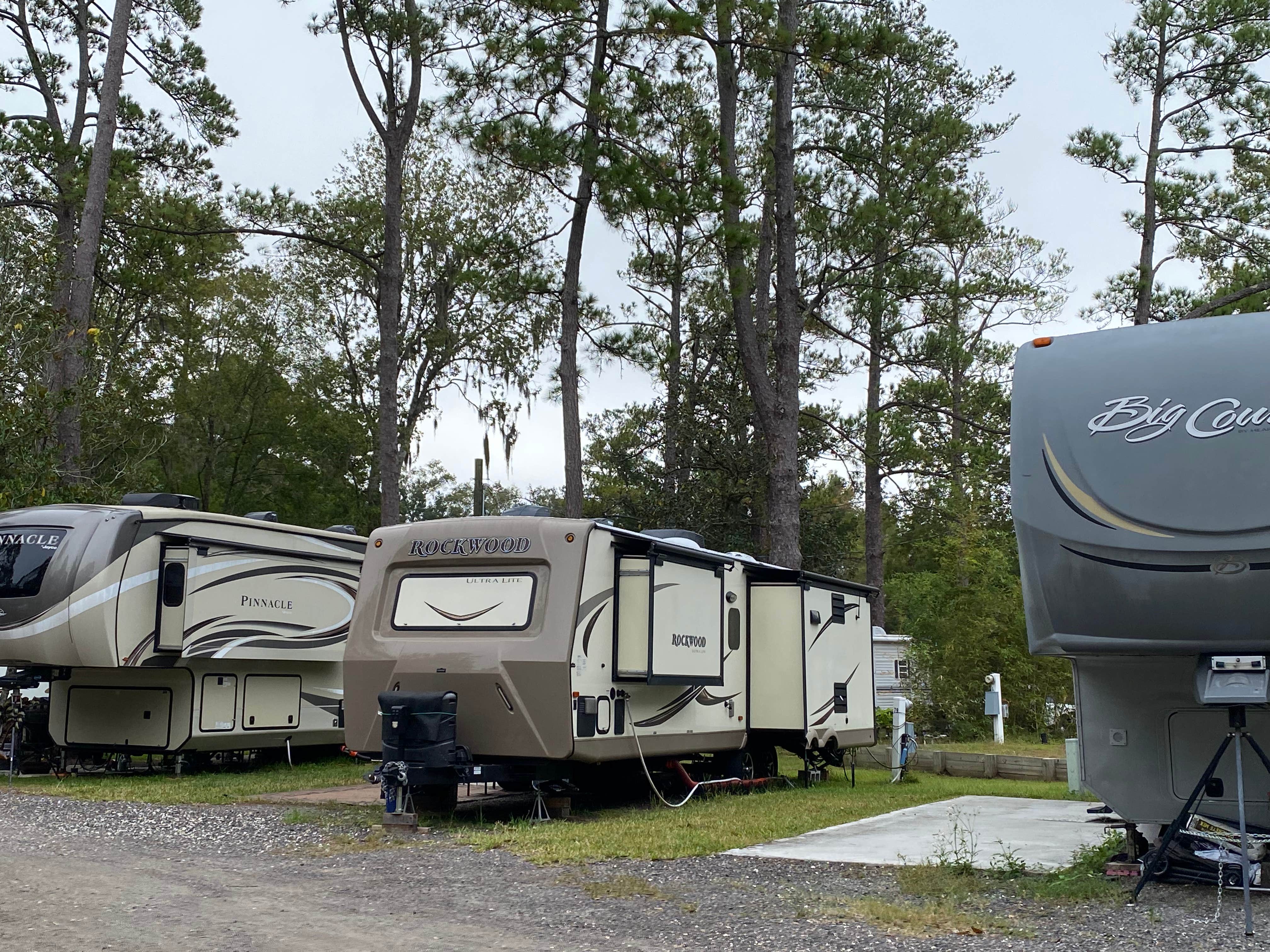 Camper-submitted photo at Big Tree RV Park near Ponte Vedra Beach, FL