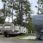 Review photo of Big Tree RV Park by Stuart K., October 25, 2022