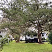 Review photo of Big Tree RV Park by Stuart K., October 25, 2022