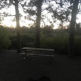 Review photo of Tumalo State Park Campground by Kelly L., September 11, 2018