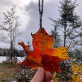 Review photo of East Star Lake Campground — Northern Highland State Forest by Lesley R., October 25, 2022