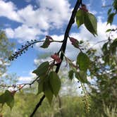 Review photo of Mauthe Lake Campground — Kettle Moraine State Forest-Northern Unit-Iansr by Lesley R., October 25, 2022