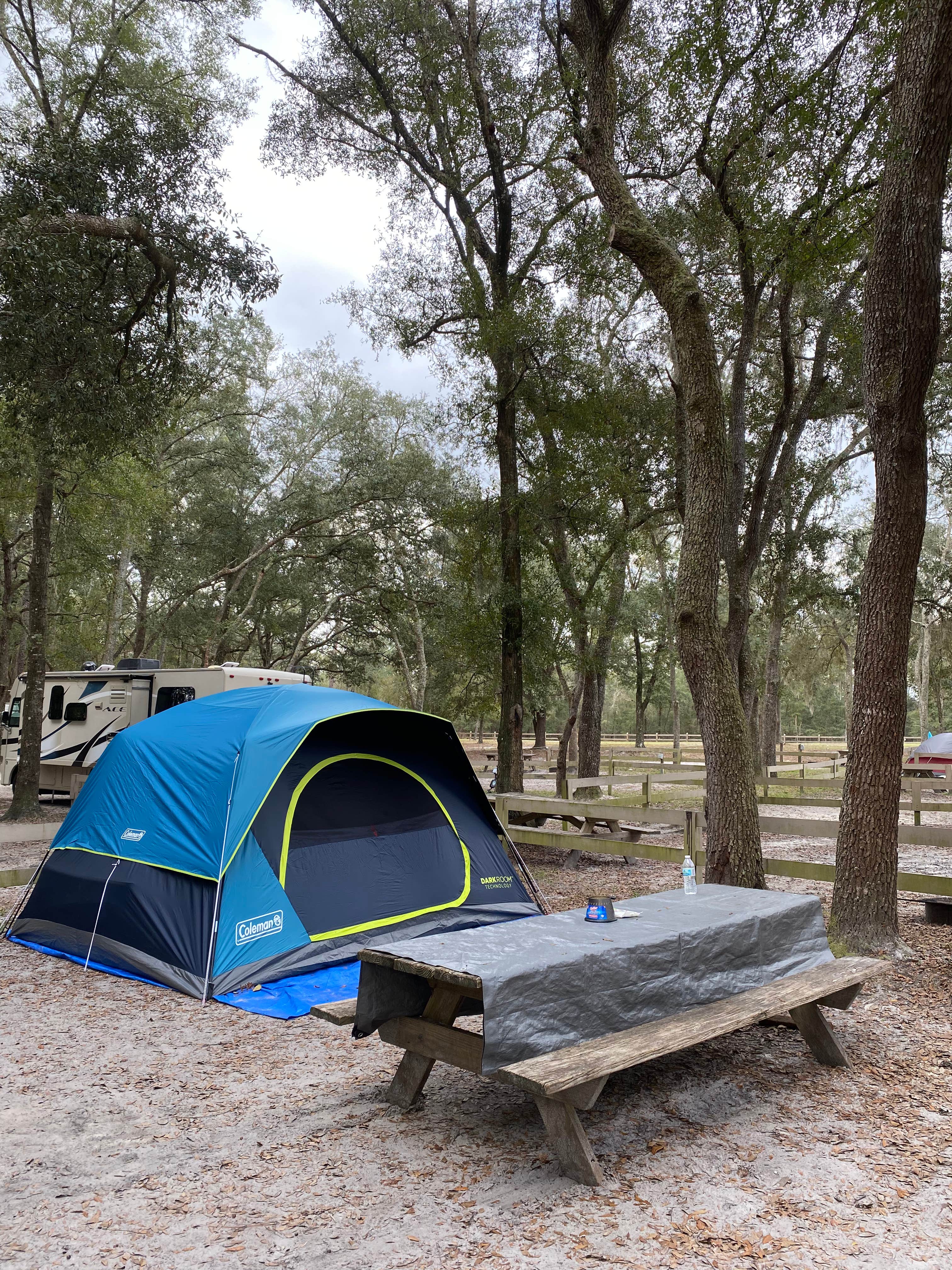 Camper-submitted photo at High Springs RV Resort and campground near High Springs, FL