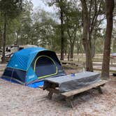 Review photo of High Springs RV Resort and campground by Stuart K., October 25, 2022