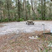 Review photo of High Springs RV Resort and campground by Stuart K., October 25, 2022