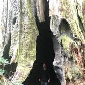 Review photo of Elk Prairie Campground — Prairie Creek Redwoods State Park by Kelly L., September 11, 2018