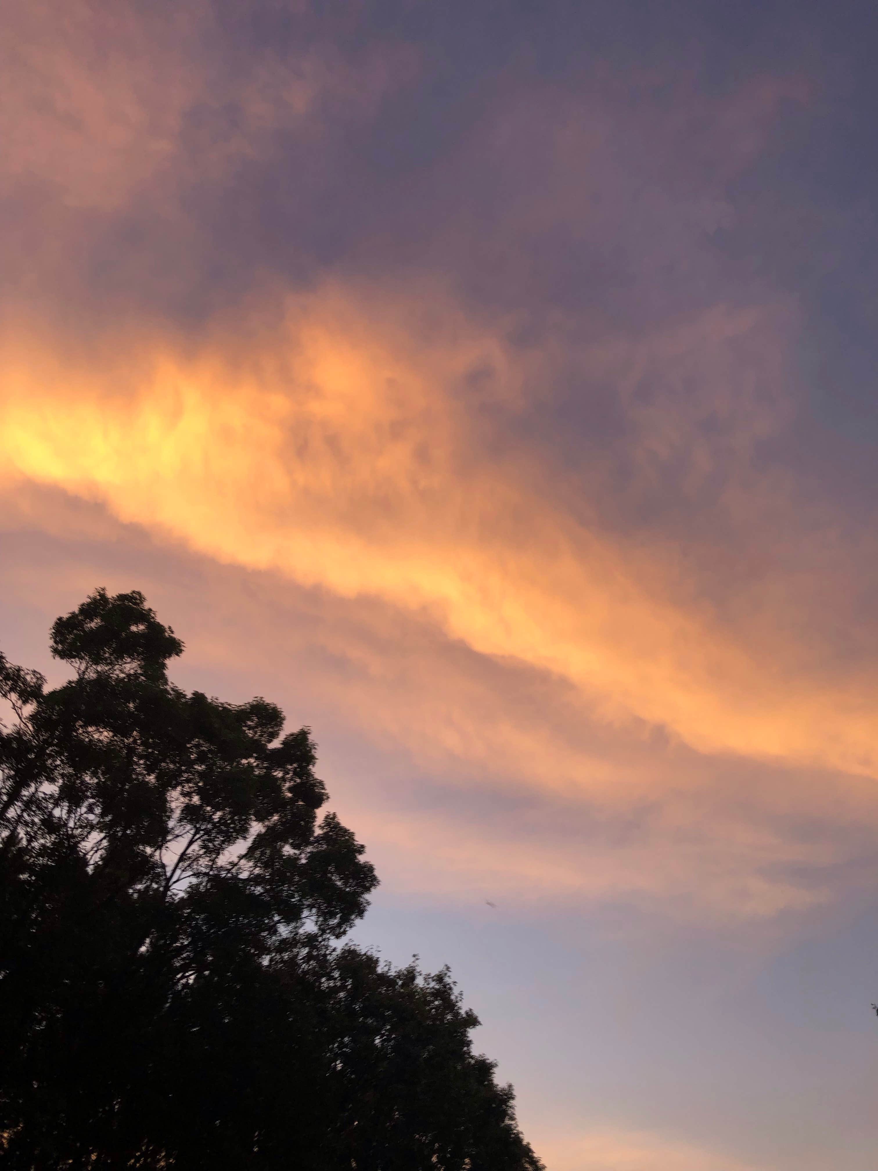 Camping near Oasis Hancock: Tomorrow Wood Campground, Hancock, Wisconsin