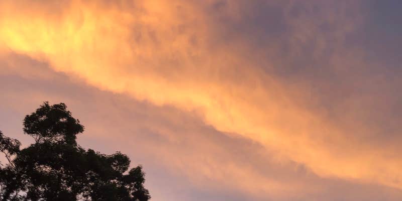 Camper submitted image from Tomorrow Wood Campground