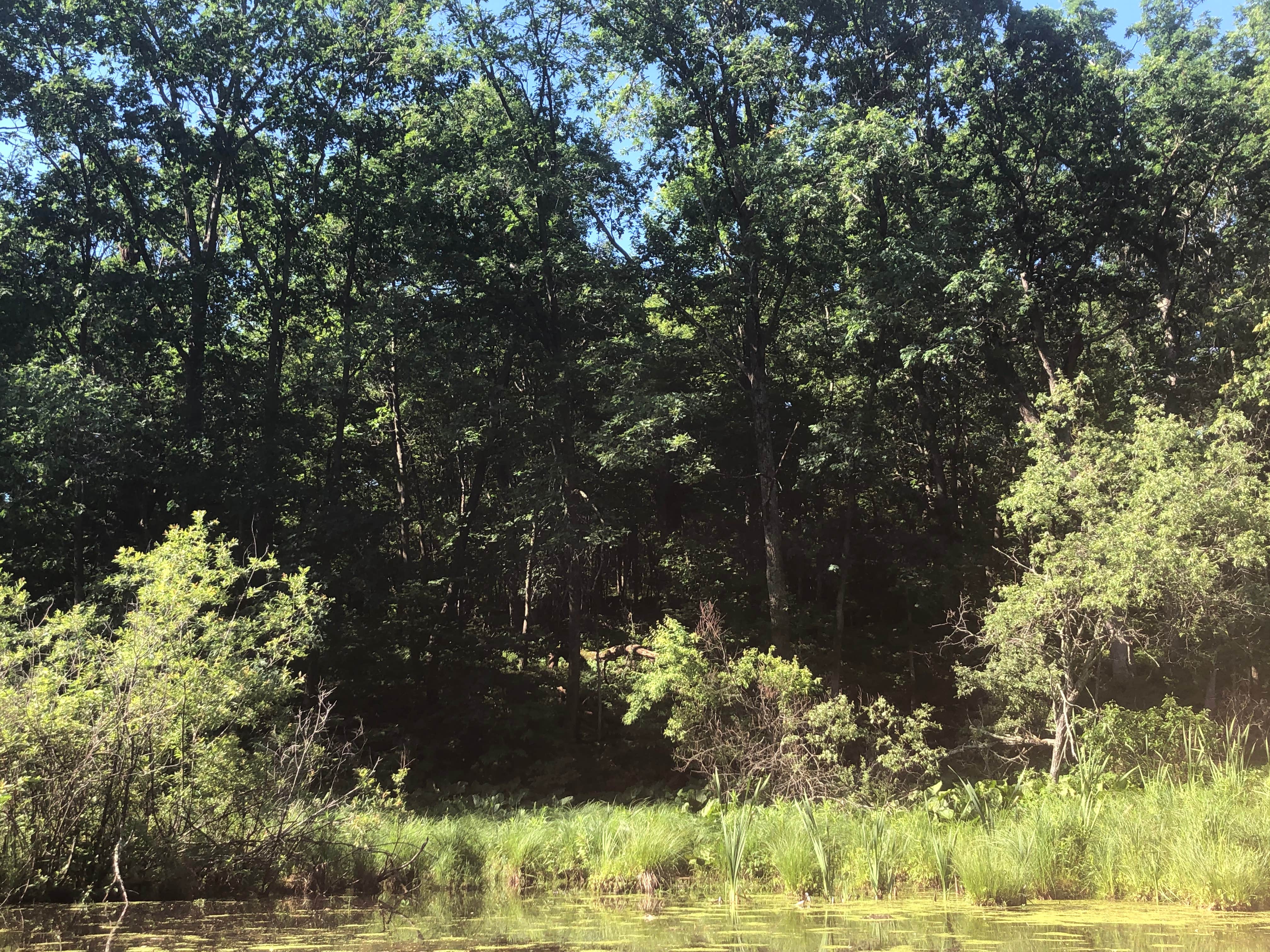 Camper-submitted photo at White River Camp Ground near Neshkoro, WI