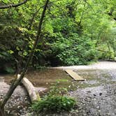 Review photo of Elk Prairie Campground — Prairie Creek Redwoods State Park by Kelly L., September 11, 2018