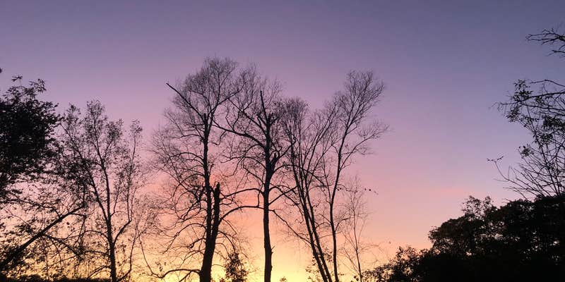 Camper submitted image from White River Camp Ground