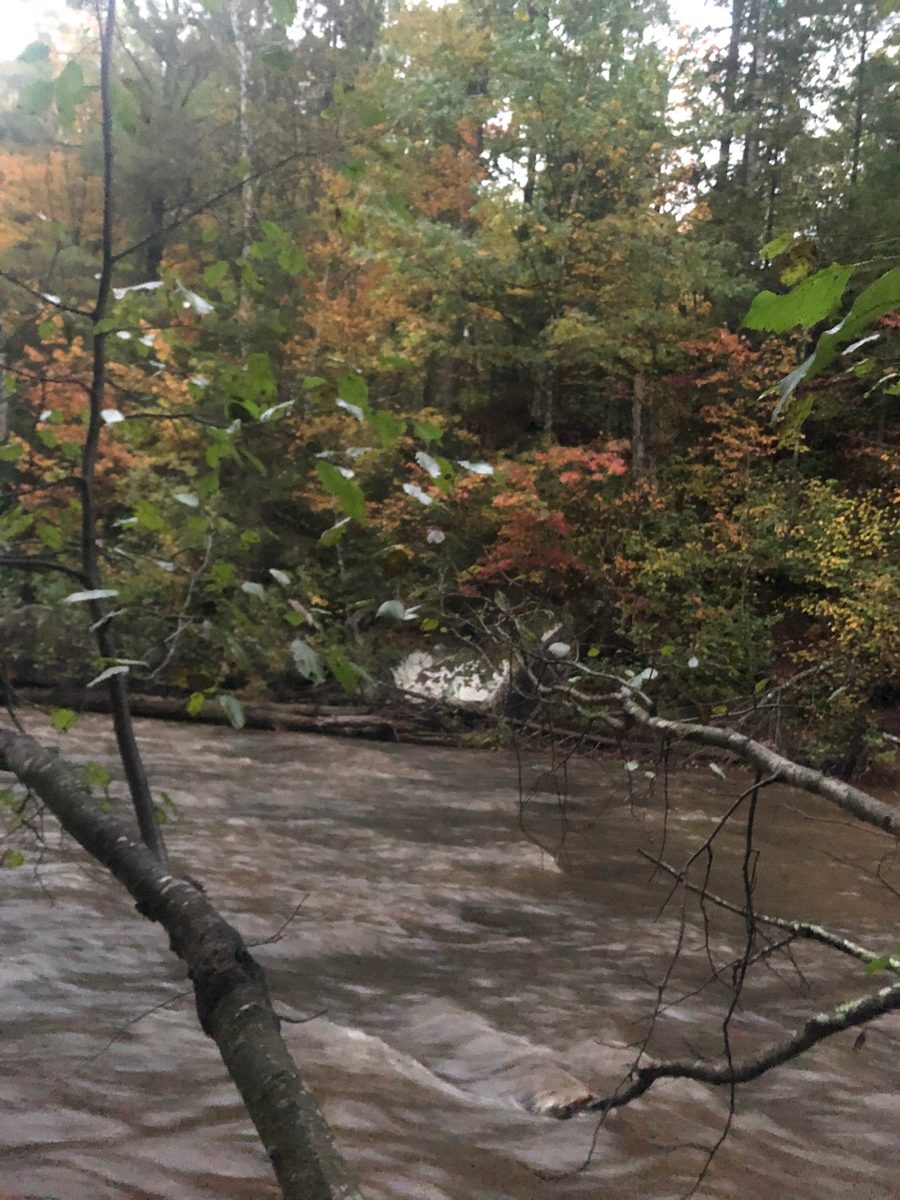 Camper-submitted photo at Big Rock Campground near Drummond, WI