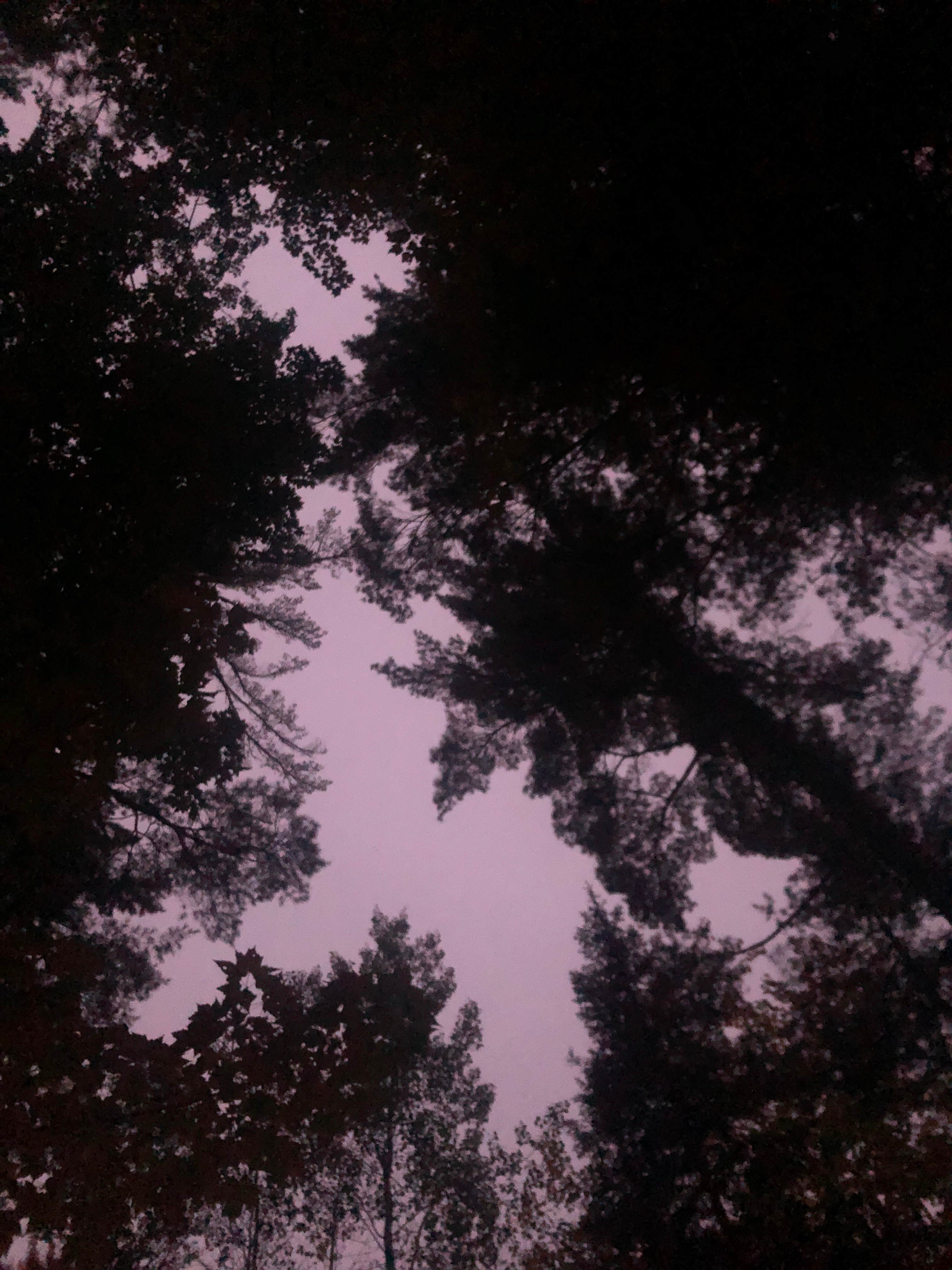 Camper-submitted photo at Big Rock Campground near Drummond, WI