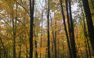 Lesley R.'s photo of camping with pets at Big Rock Campground near Apostle Islands National Lakeshore