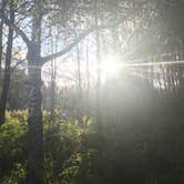 Review photo of Lake Superior Cart-in Campground — Tettegouche State Park by Lesley R., October 25, 2022