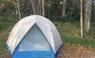 Lesley R.'s photo of tent camping at Lake Superior Cart-in Campground — Tettegouche State Park near Schroeder, MN