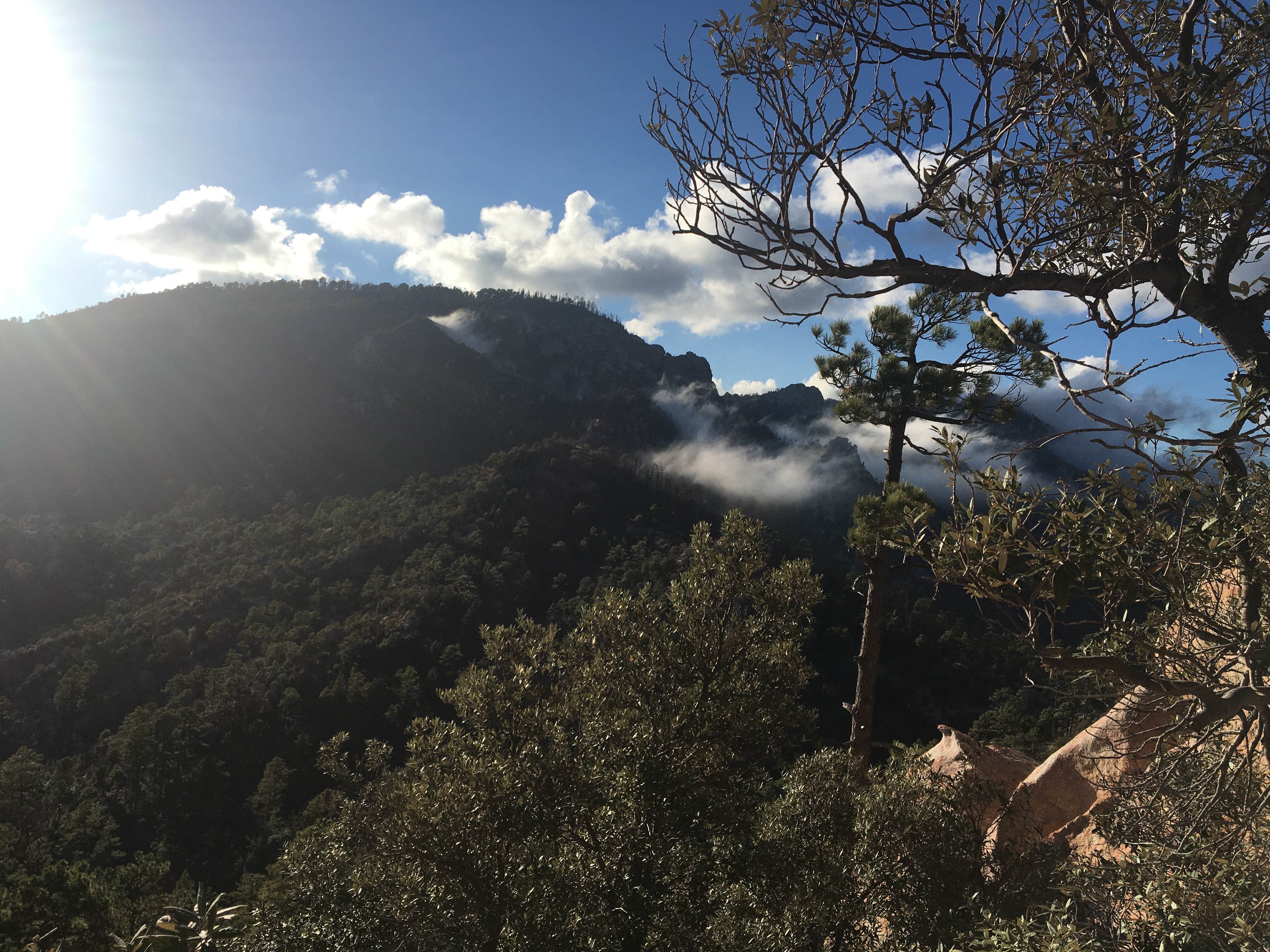 General Hitchcock Campground