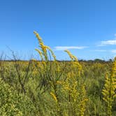 Review photo of Galveston Island State Park Campground by Laura F., October 25, 2022