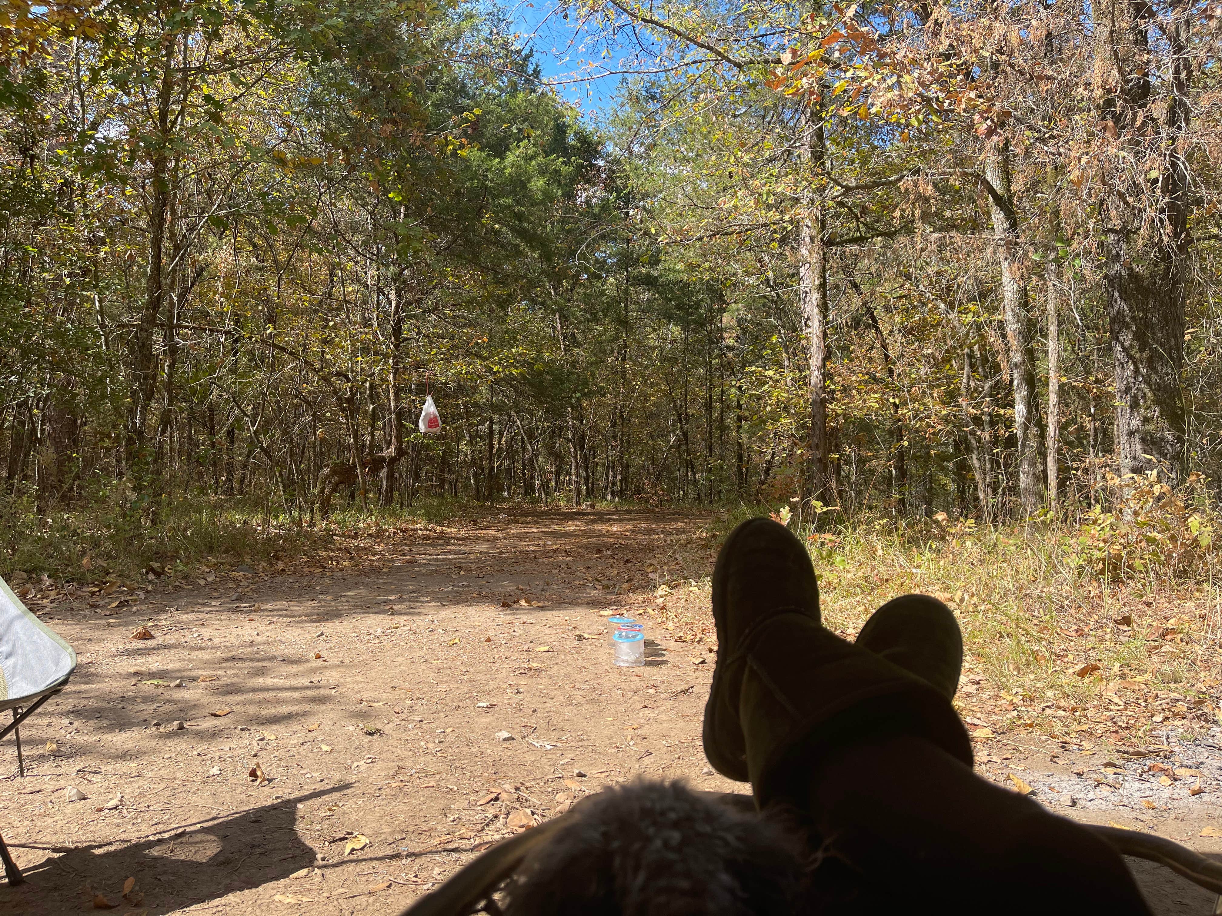 Camper-submitted photo at Ouachita NF - CR 51220 Dispersed near Broken Bow, OK