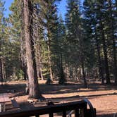 Review photo of Manzanita Lake Camping Cabins by Ashley A., October 25, 2022