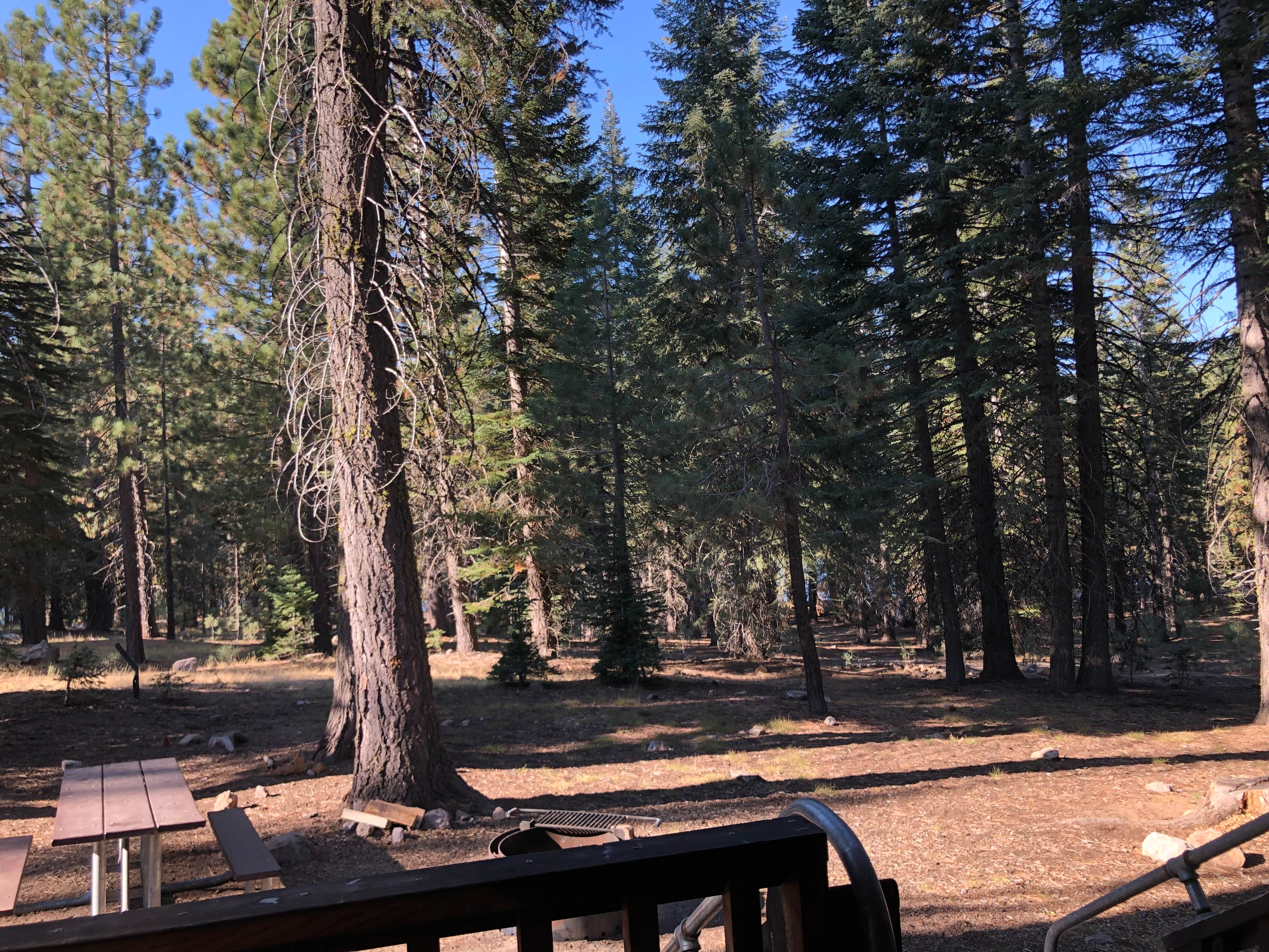 Camper submitted image from Manzanita Lake Camping Cabins - 1