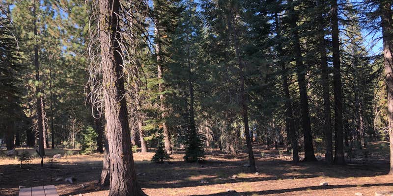 Camper submitted image from Manzanita Lake Camping Cabins