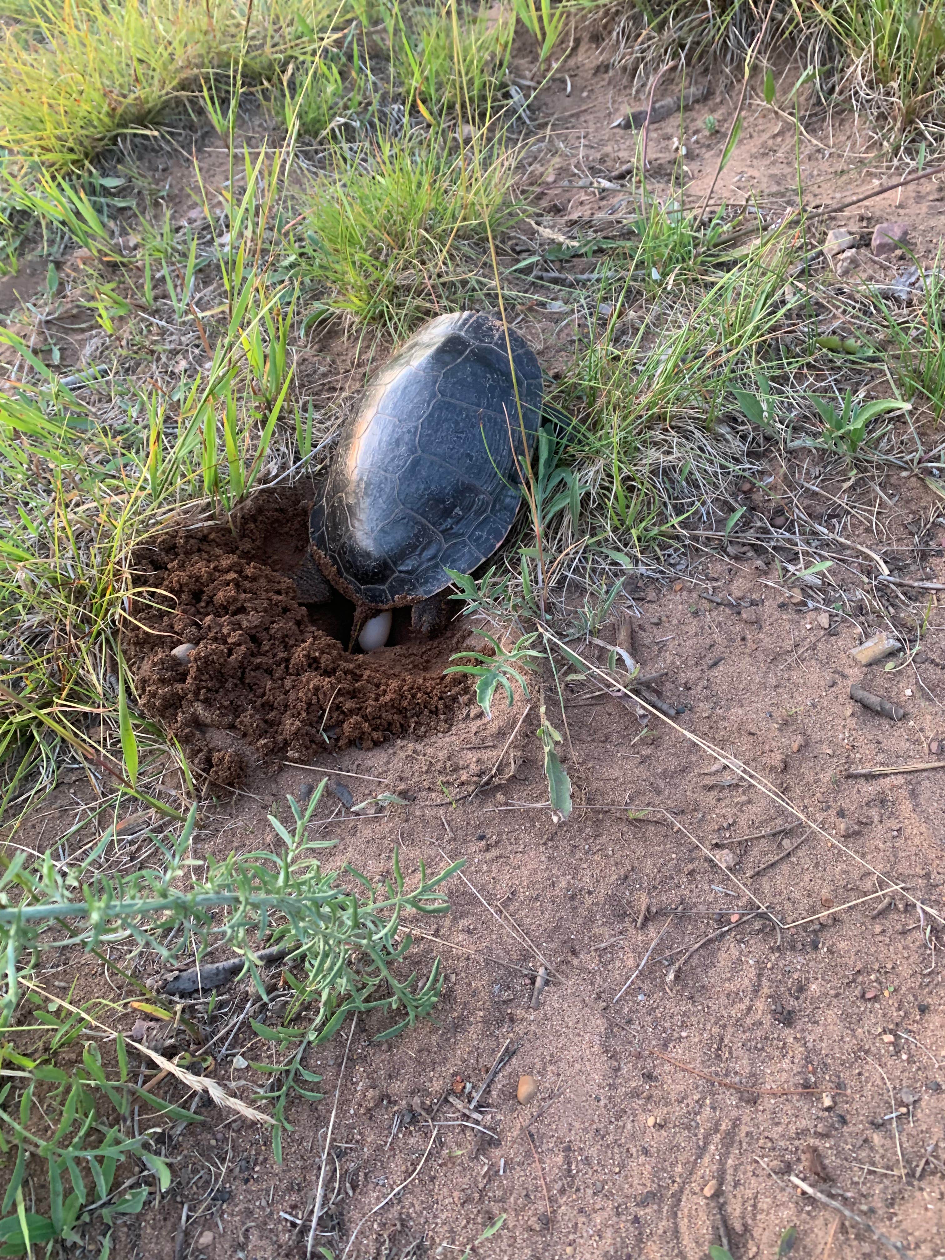 Camper-submitted photo at Sandy Beach Lake Campground — Northern Highland State Forest near Mercer, WI
