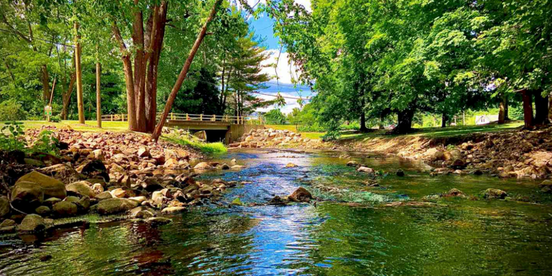 Camper submitted image from Lone Oak Campground