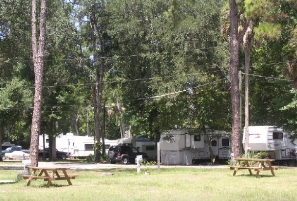 Camper submitted image from Nova Campground - 1