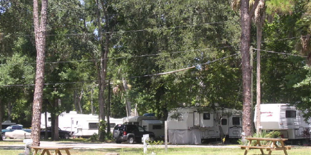 Camper submitted image from Nova Campground