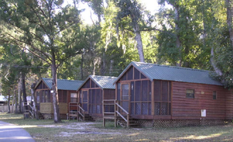 Saraj B.'s photo of a cabin at Nova Campground near Oak Hill, FL