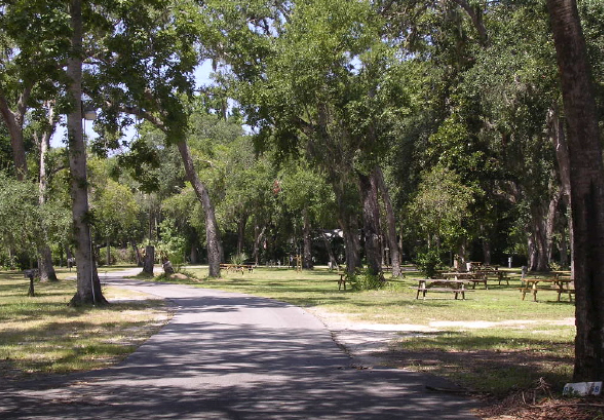 Camper-submitted photo at Nova Campground near New Smyrna Beach, FL
