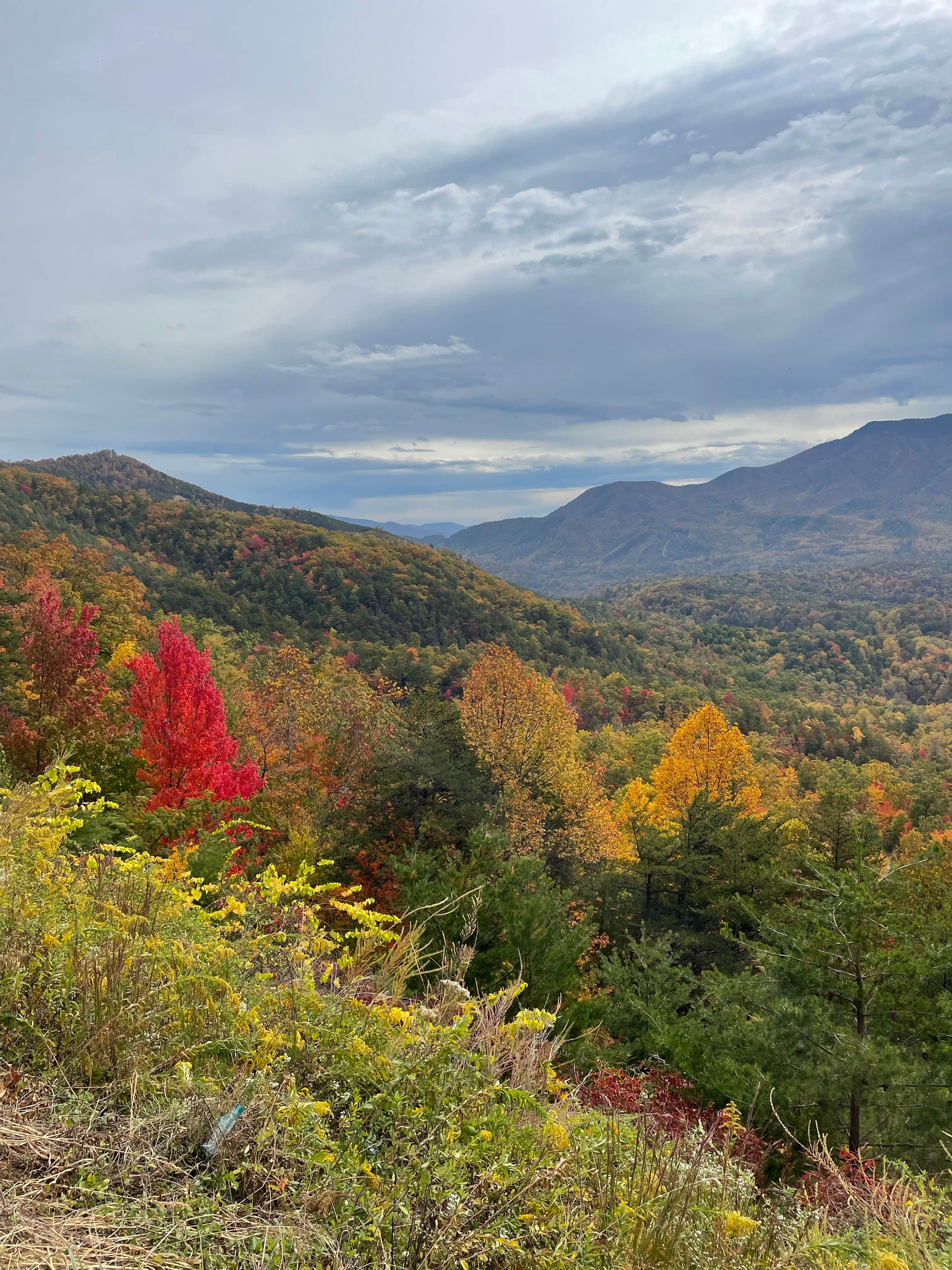 Camper submitted image from Gatlinburg RV Resort - 1